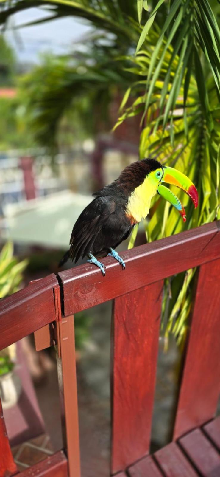 Hotel Bahia 特拉 外观 照片